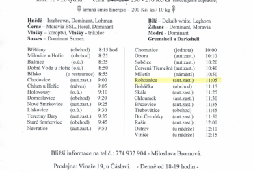 Prodej kuřic - Bromová Prodej kuřic - Bromová